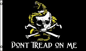 3X5 FLAG - PIRATE DON'T TREAD