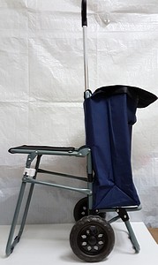 ADJUSTABLE CART W/SEAT ASST