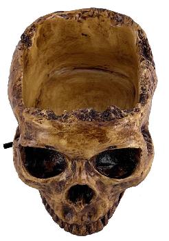 SKULL TRINKET BOWL