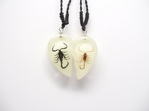 INSECT NECKLACE SCORPION