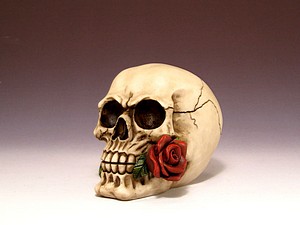 SKULL ROSE IN MOUTH