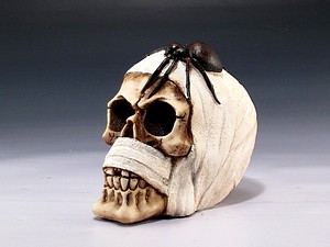 SKULL BANDAGED SPIDER