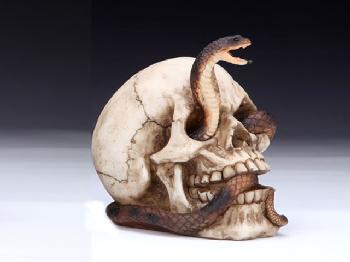 SKULL W/ COBRA