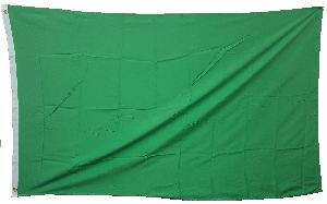 3X5 FLAG - SOLID GREEN